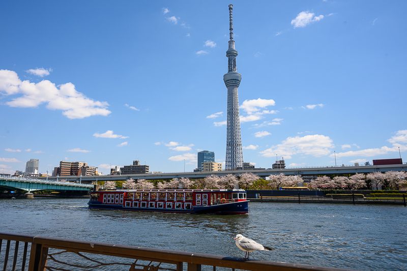 Tokyo Private Tour - You can rest and relax on Sumida River boat cruise. Tokyo Skytree is nearby Asakusa.