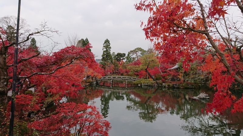 Kyoto Private Tour - Zenrinji-temple