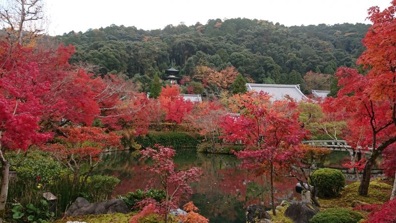 Kyoto Private Tour - Zenrinji-temple