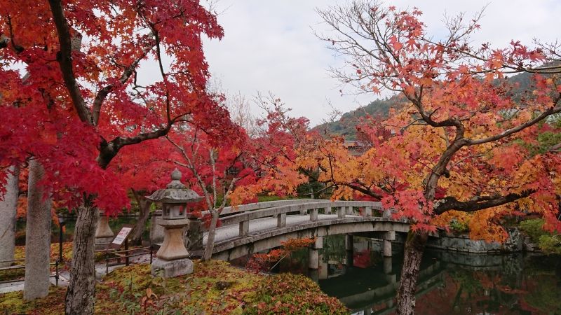 Kyoto Private Tour - Zenrinji-temple