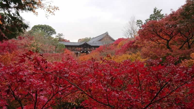 Kyoto Private Tour - Tofukuji-temple