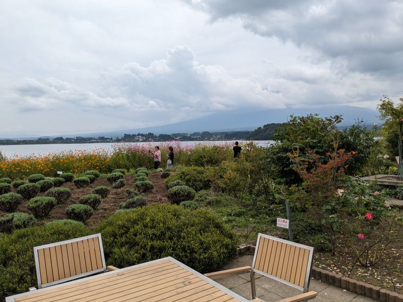 Mount Fuji Private Tour - Ohishi park located in Lake Kawaguchi