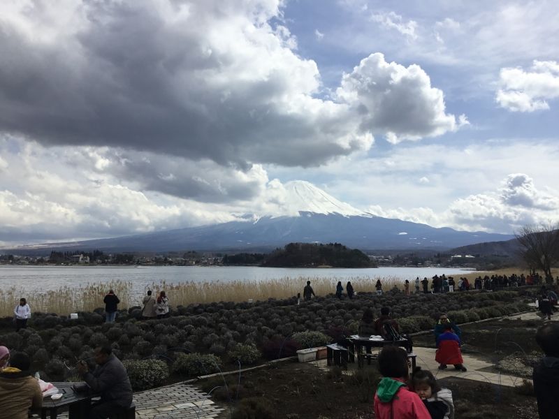 Mount Fuji Private Tour - Ohishi park location is the best for you to see Mt.Fuji on the opposite side of Lake 