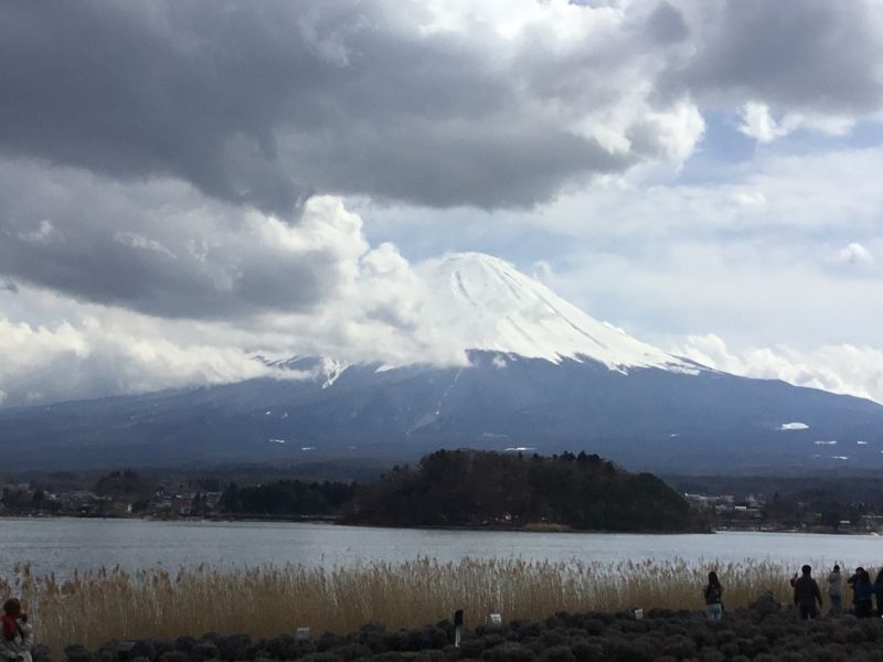 Mount Fuji Private Tour - Ohishi park located in Lake Kawaguchi area where you can enjoy various beautiful flowers