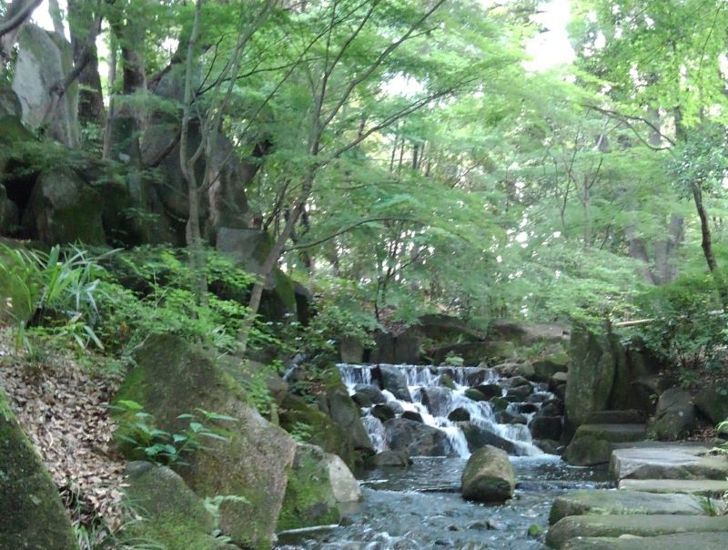 Nagoya Private Tour - Japanese garden, you can feel relaxed in this beautiful garden