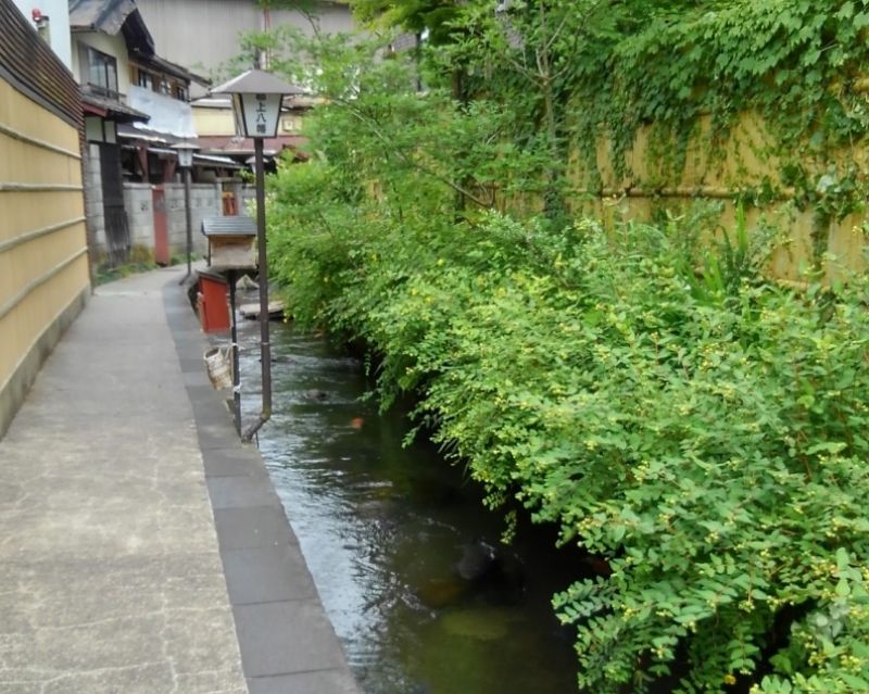 Gifu Private Tour - You can feed carps out of your hands directly.