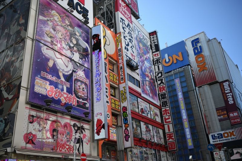 Tokyo Private Tour - Akihabara electric district is center of sub culture, anime, manga, maid cafes and such.