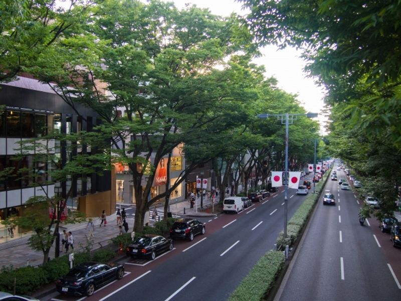 Tokyo Private Tour - Omotesando - Used to be the main approach road to Meiji-jingu shrine, today making sophisticated shopping district. 