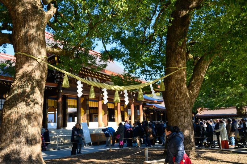 Tokyo Private Tour - A couple of camphor trees with Shimenawa sacred straw rope, a symbol of a happy marriage and matchmaking.