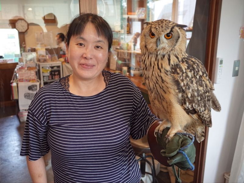 Tokyo Private Tour - (option) If you are an animal lover, try these amazing animal cafes in this area, such as owl village, cat cafe, hedgehogs, mini pig, otters..