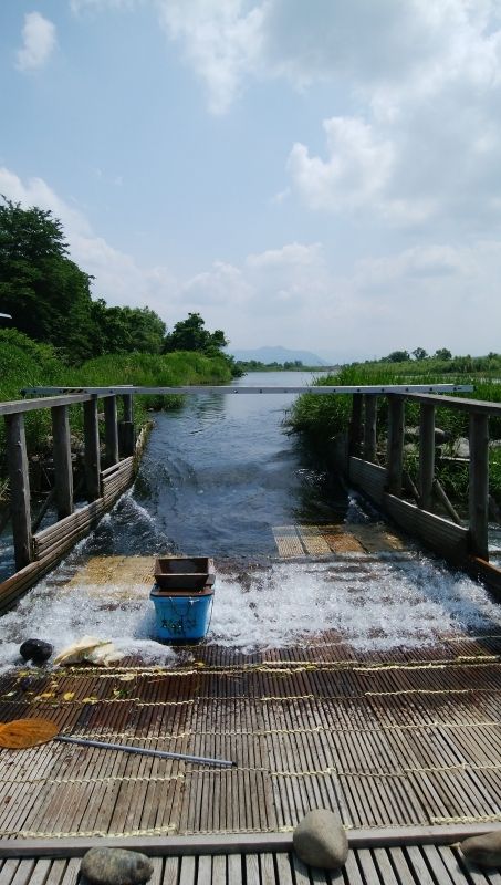 Niigata Private Tour - Urasa Yana fish weir 