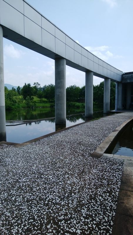 Niigata Private Tour - Ikeda art museum and Yairo no mori park in Urasa 