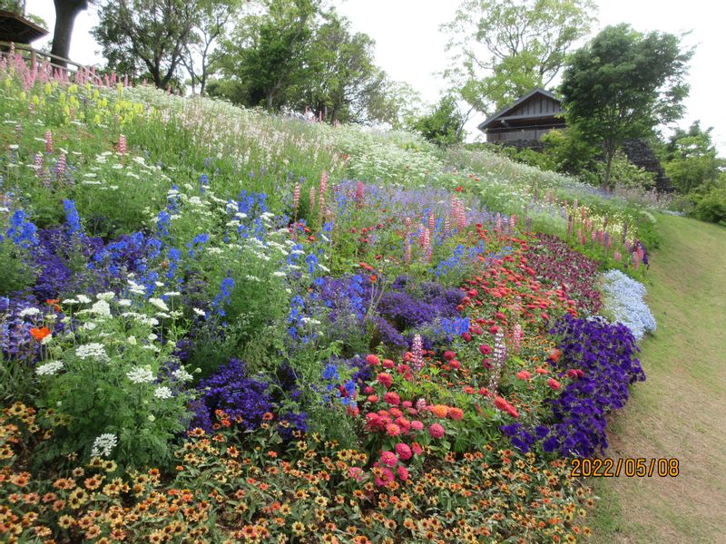 Kochi Private Tour - Makino Botanical Garden 