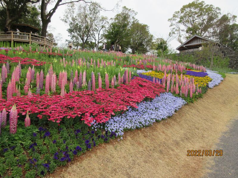 Kochi Private Tour - Makino Botanical Garden