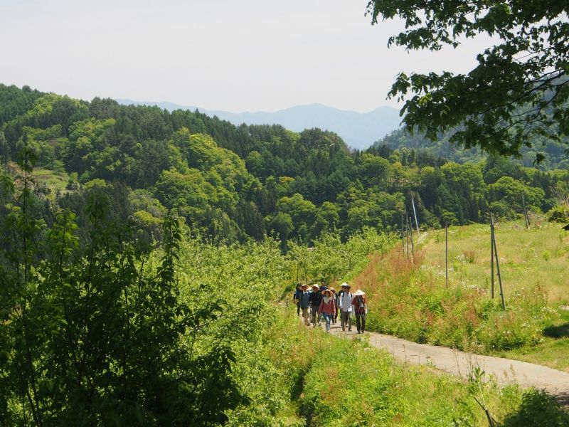 Nagano Private Tour - null