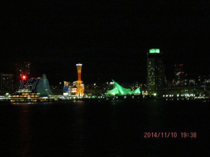 Kobe Private Tour - A beautiful night scene of Kobe