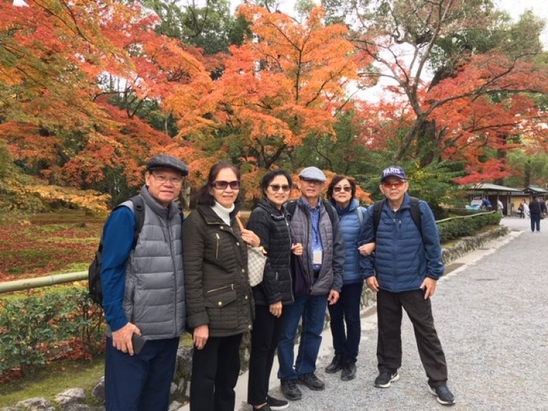 Kyoto Private Tour - 3 women of "Golden" beauty with their husbands at Kinkakuji Temple