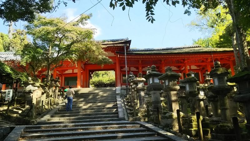 Nara Private Tour - Kasuga grand shrine