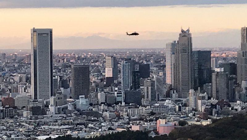 Tokyo Private Tour - View from Shibuya Sky (#c)