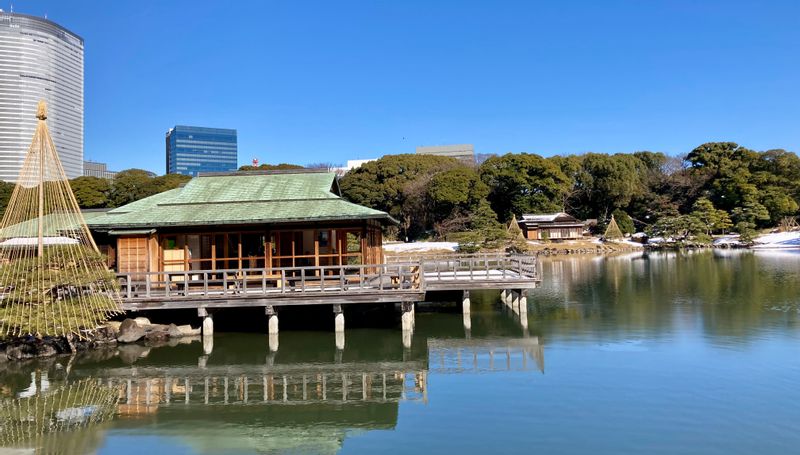 Tokyo Private Tour - Hamarikyu Garden in winter (#e)