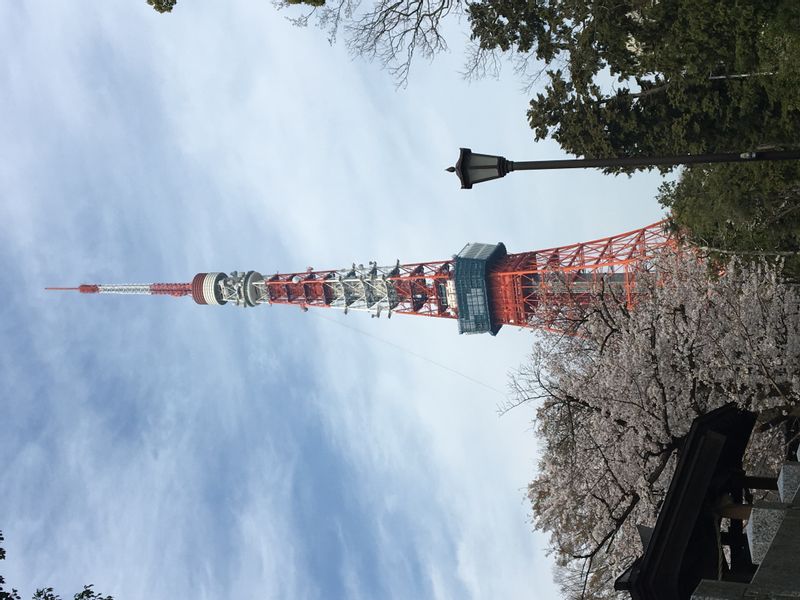 Tokyo Private Tour - null