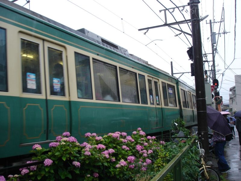 Kanagawa Private Tour - Locomotive train between Kamakura station to Kamakura high school, Enoshima