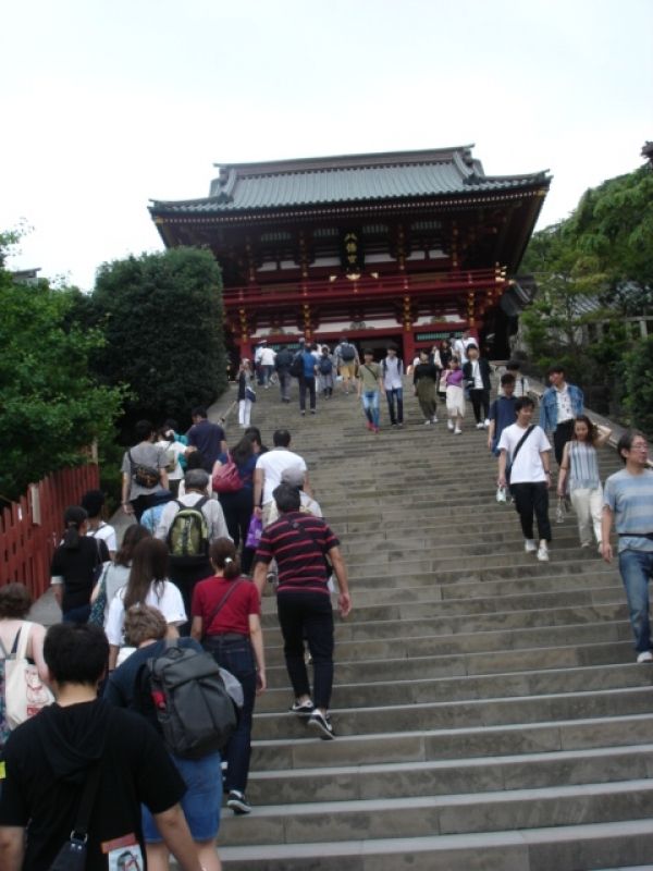 Kanagawa Private Tour - Tsurugaoka hachimangu shrine