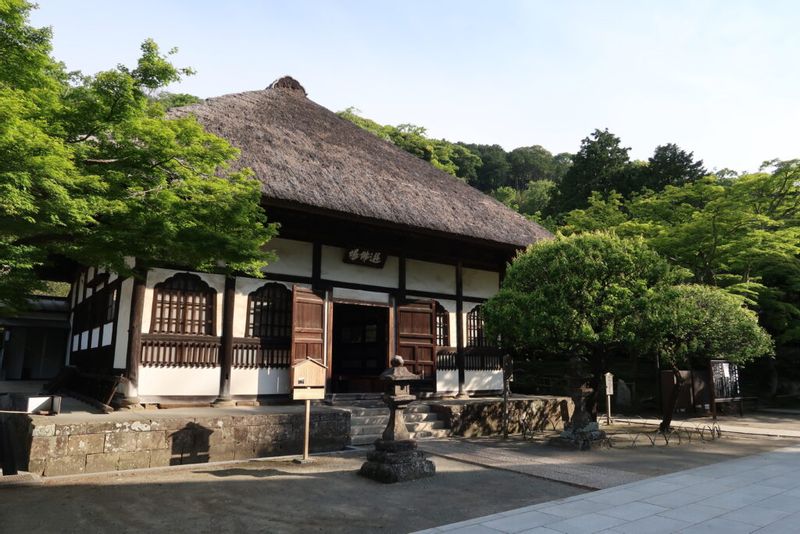 Kanagawa Private Tour - 