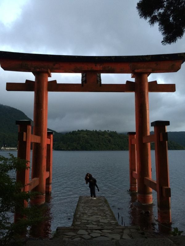 Hakone Private Tour - null