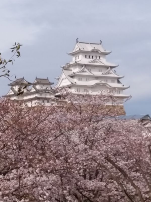 Himeji Private Tour - null