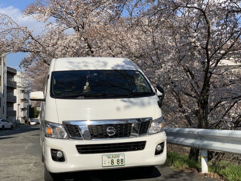 Osaka Private Tour - null
