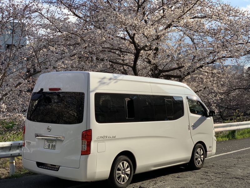 Osaka Private Tour - null