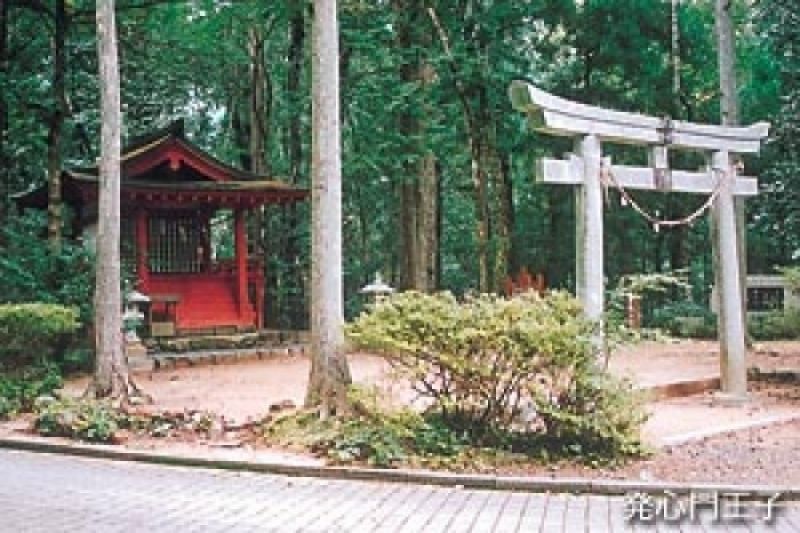 Wakayama Private Tour - Hosshinmon-oji "発心門王子"