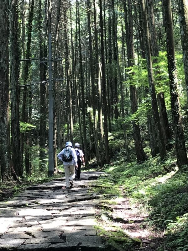 Gifu Private Tour - You can enjoy 30 minutes hiking to the ruins of the castle on the hill.