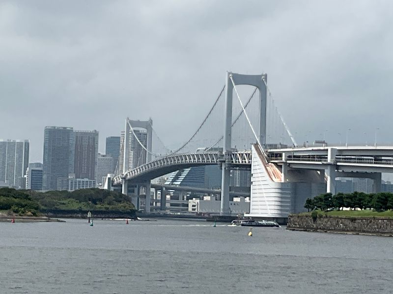 Tokyo Private Tour - Rainbow Bridge