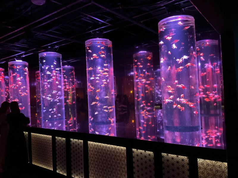 Tokyo Private Tour - Art Aquarium in Ginza