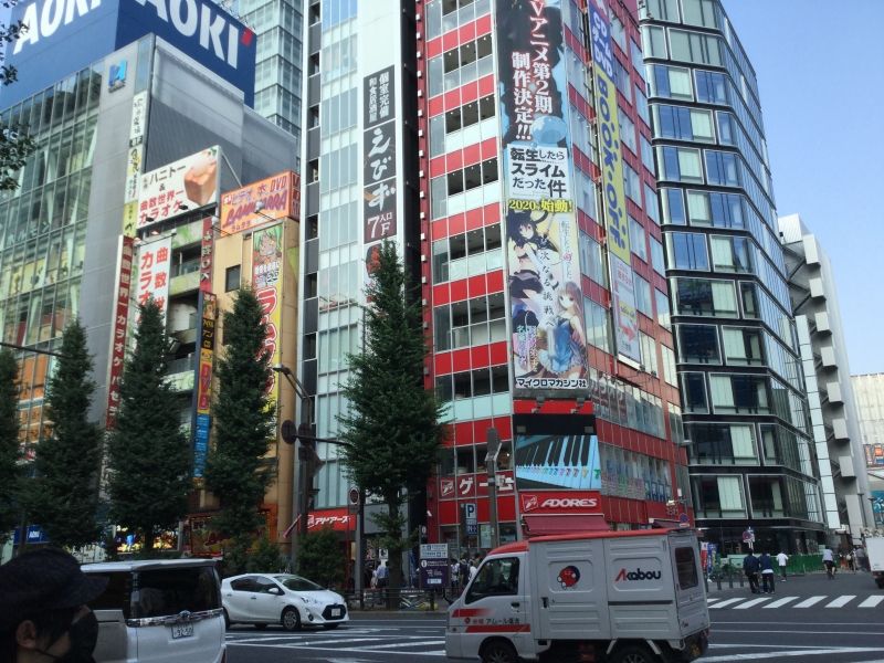 Tokyo Private Tour - Akihabara