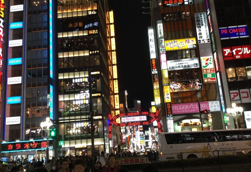 Tokyo Private Tour - Shinjuku Kabukicho District