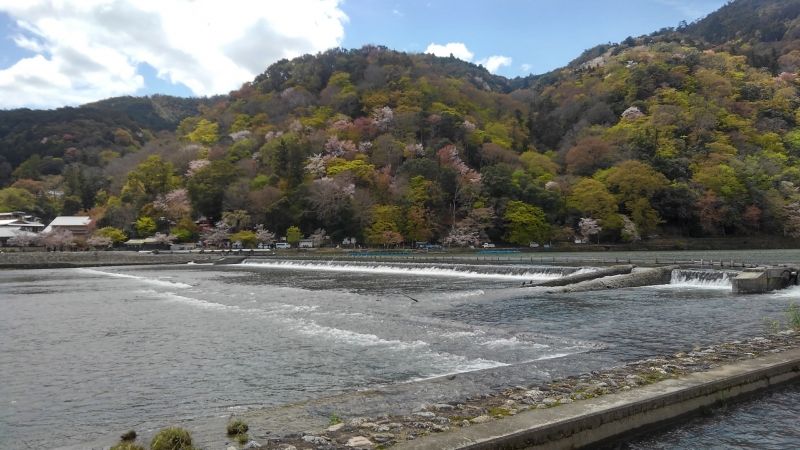 Kyoto Private Tour - one of the most beautiful spots in Kyoto