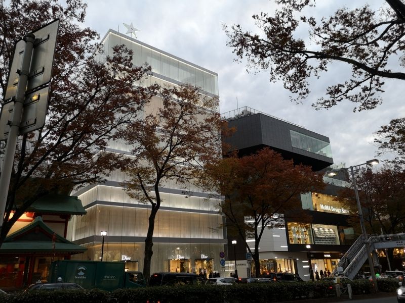 Tokyo Private Tour - Dior Building on Omotesando Avenue