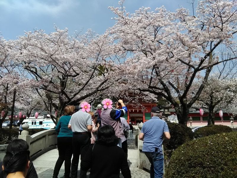 Mount Fuji Private Tour - Fujisanhongu Sengen Taisha Shrine at the time of cherry blossoms