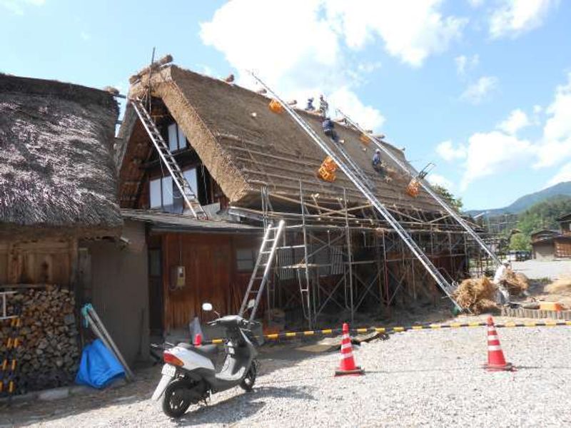 Gifu Private Tour - Rethatching work at Shirakawago Gassho farmhouse on May , 2015.