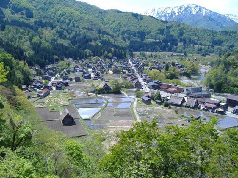 Gifu Private Tour - Shirakawago village from the observation deck.