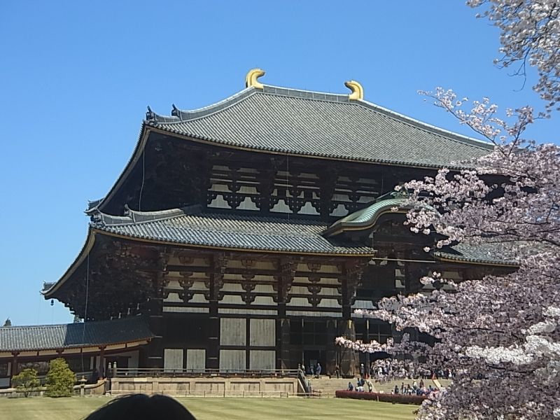 Nara Private Tour - Great Buddha Hall in Todaiji Temple