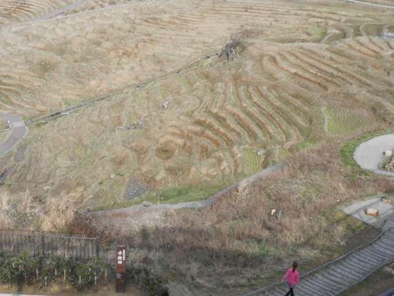 Ishikawa Private Tour - Senmaida terraced rice paddy fields.