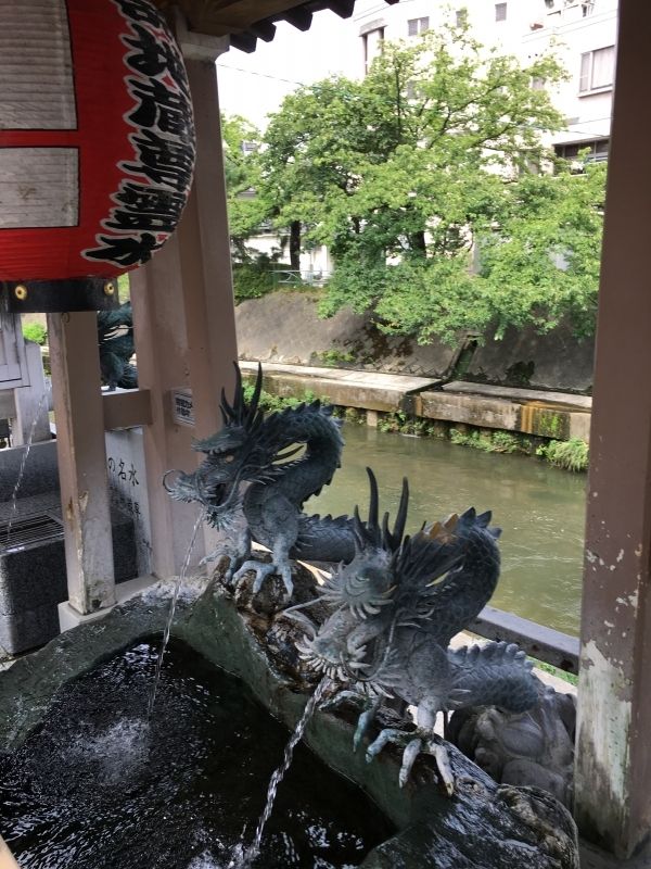 Toyama Private Tour - Spring water flowing up from underground of Toyama plain