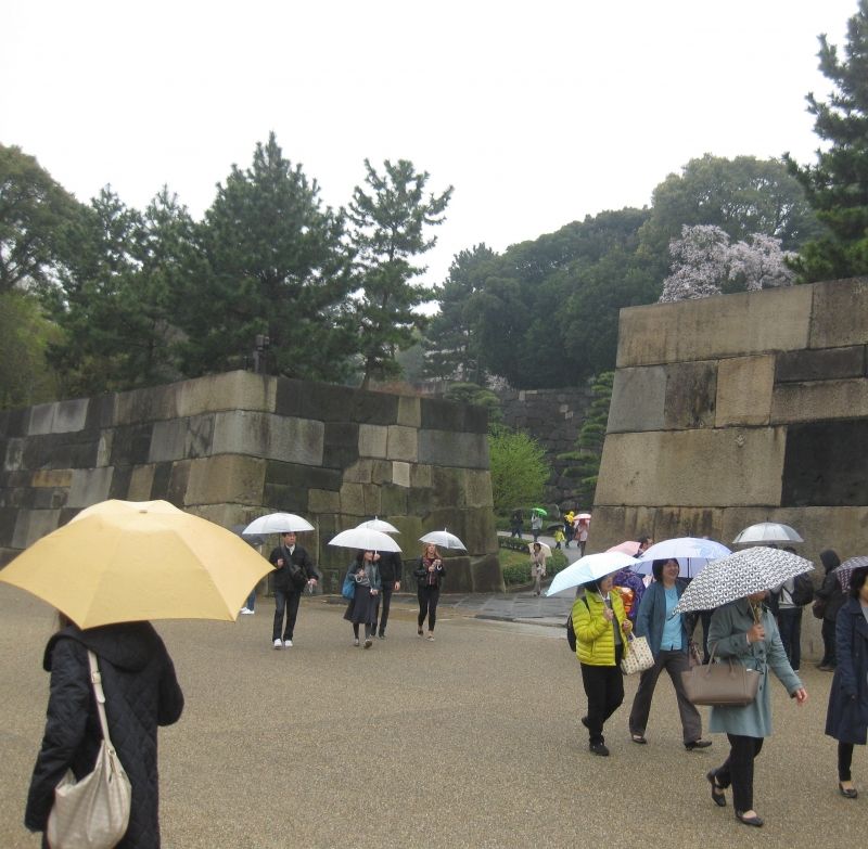 Tokyo Private Tour - Jardin est de la Palais Impérial