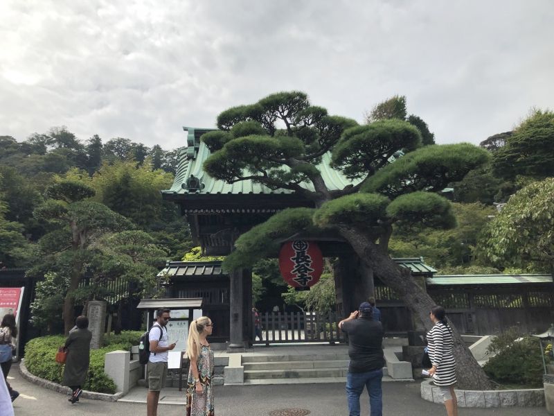 Tokyo Private Tour - Hase temple 
This temple is called “the temple of flowers” because it is full of flowers all year around, wisteria, peony and azalea and called “the western Paradise”or the pure land in Kamakura”. This is one of leading old temples in Kamakura founded in 736 and used as the place of imperial prayer during the period ruled by Emperor Shomu.