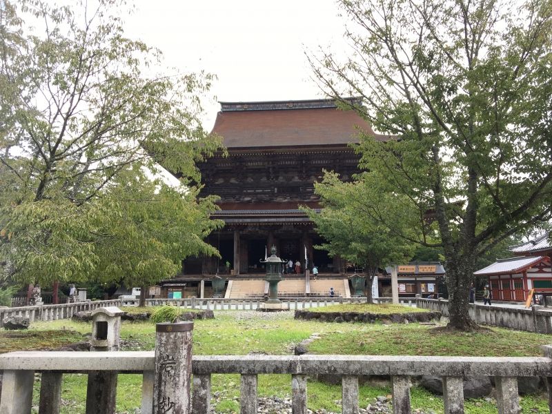 Nara Private Tour - null