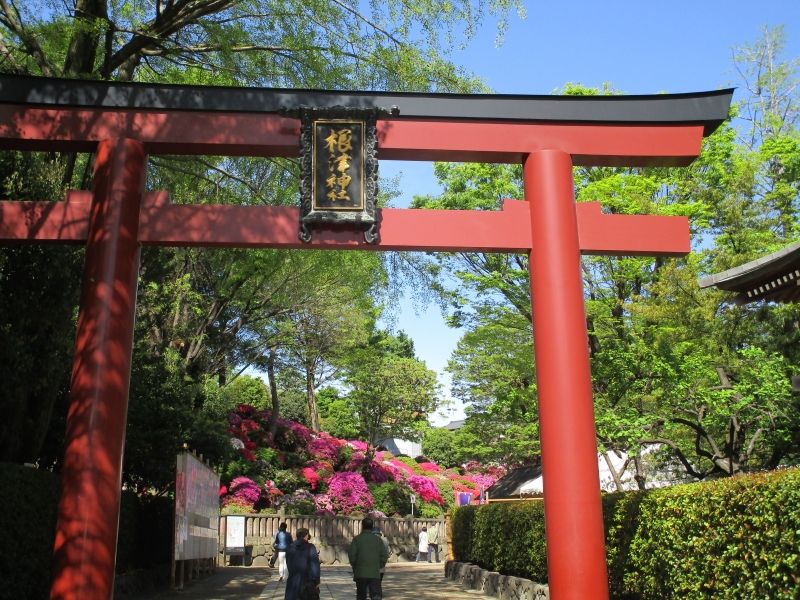Tokyo Private Tour - Nezu Shrine (April 27, 2019)
